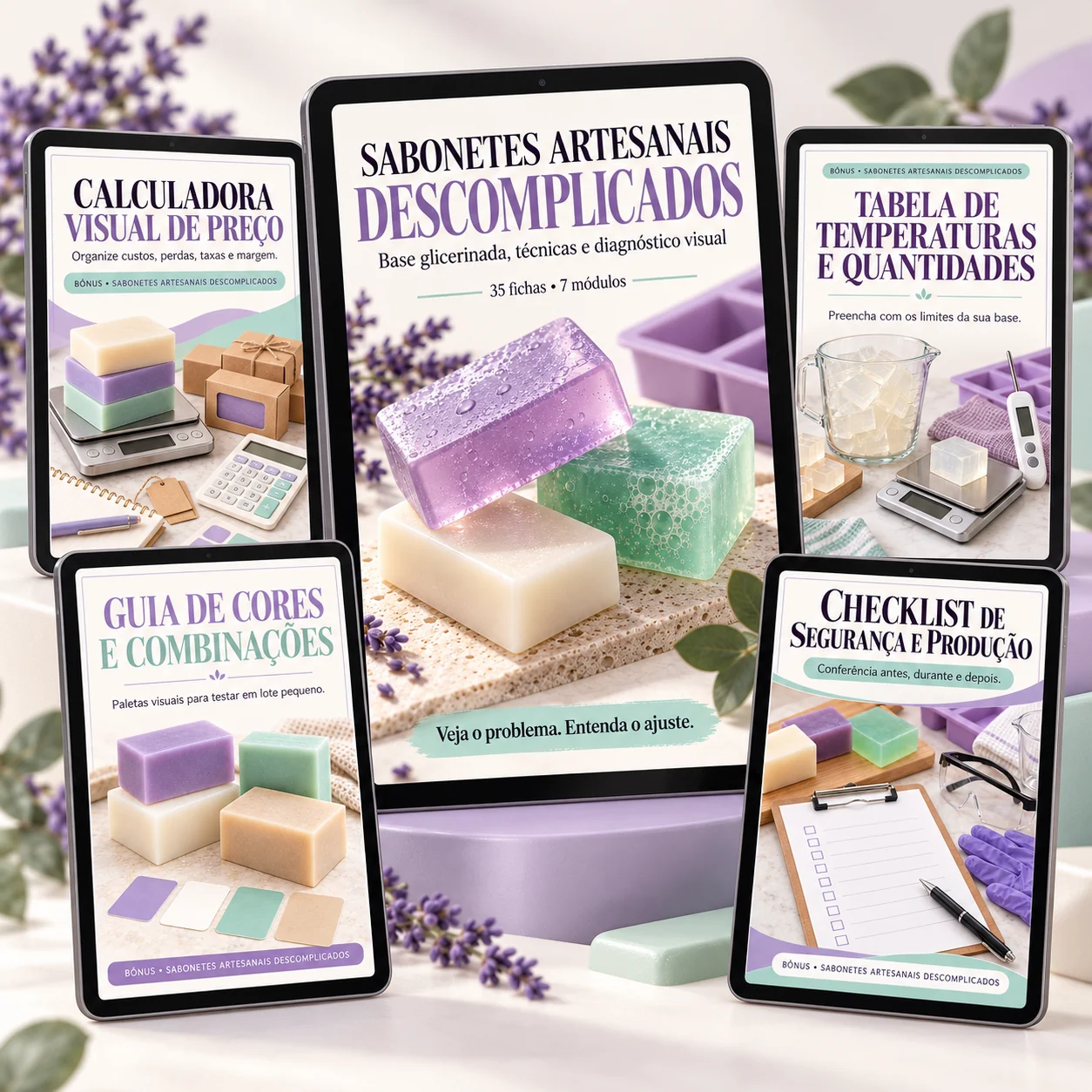 Manual visual e quatro bônus digitais em PDF